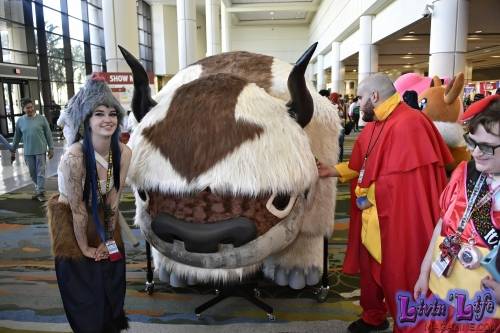 MegaCon-2024-411
