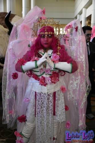 MegaCon-2024-414