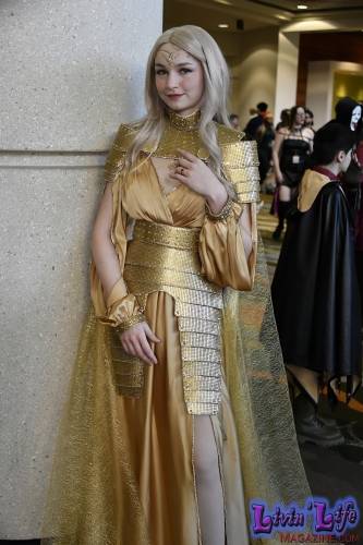 MegaCon-2024-452
