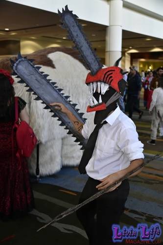 MegaCon-2024-484