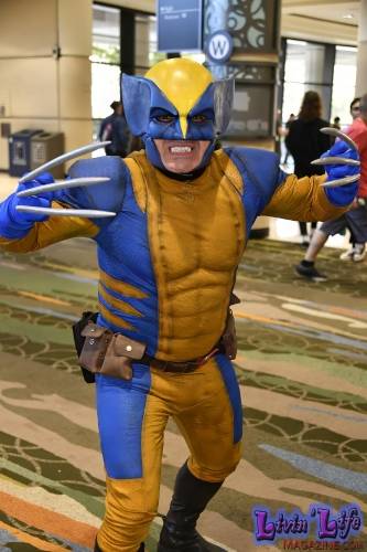 MegaCon-2024-500