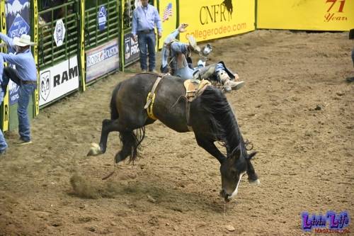 National-College-Finals-Rodeo-in-Casper-WY-6-13-19-00061