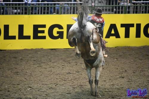 National-College-Finals-Rodeo-in-Casper-WY-6-13-19-00118