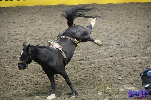 National-College-Finals-Rodeo-in-Casper-WY-6-13-19-00198
