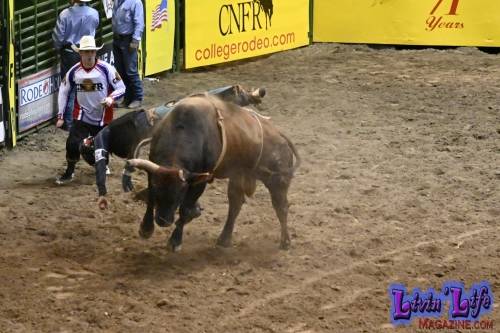 National-College-Finals-Rodeo-in-Casper-WY-6-13-19-01227
