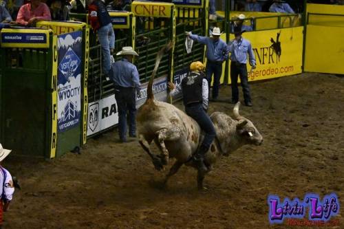National-College-Finals-Rodeo-in-Casper-WY-6-13-19-01283