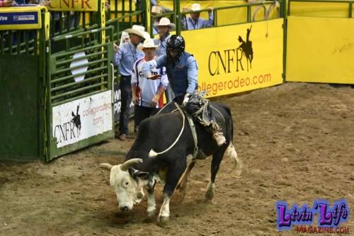 National-College-Finals-Rodeo-in-Casper-WY-6-13-19-01450
