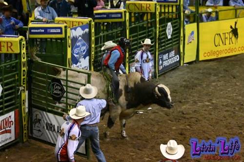 National-College-Finals-Rodeo-in-Casper-WY-6-13-19-01475
