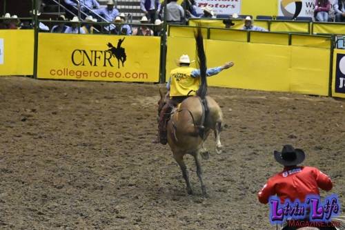 National-College-Finals-Rodeo-in-Casper-WY-6-13-19-00709
