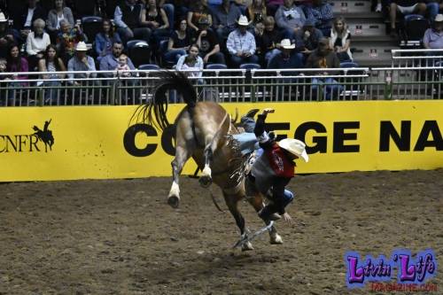 National-College-Finals-Rodeo-in-Casper-WY-6-13-19-00791