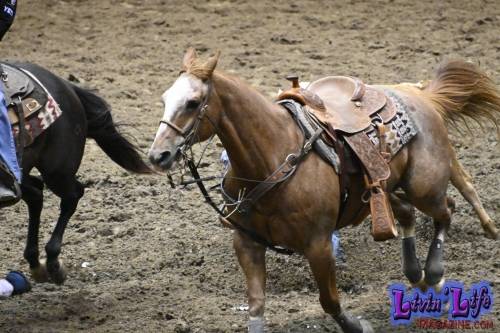 National-College-Finals-Rodeo-in-Casper-WY-6-13-19-00889