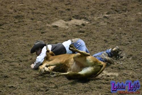 National College Final Rodeo in Casper WY - Steer Wrestling