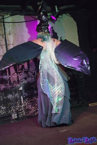PastieGate at Rain Dog - Edith Meowt - 01-11-19 - 002