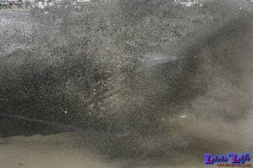 Plantbamboo (Trucks Gone Wild) Muddy Valentine 2021 - 064