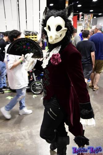 Tampa Bay ComicCon 2019