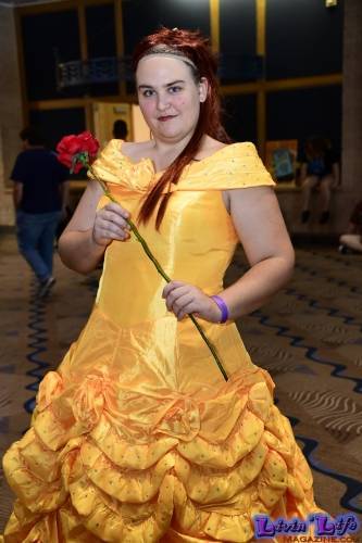 Tampa Bay ComicCon 2019