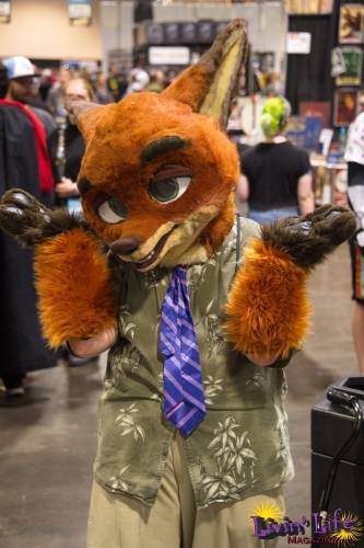 Tampa Bay Comic Con 2018 08-03-2018 0031 