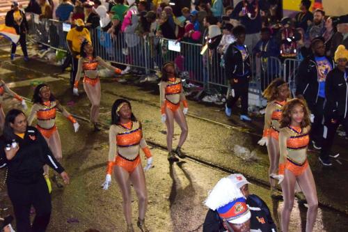 Krewe of Bacchus Parade - Mardi Gras 2018 0547