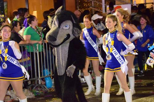 Krewe of Bacchus Parade - Mardi Gras 2018 0690