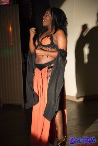 A Night of Burlesque - Heroes and Villains at ZenfiniTea