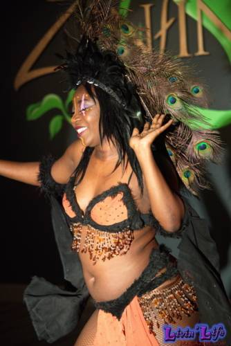 A Night of Burlesque - Heroes and Villains at ZenfiniTea