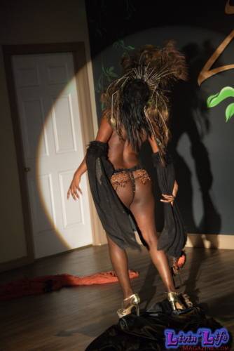 A Night of Burlesque - Heroes and Villains at ZenfiniTea