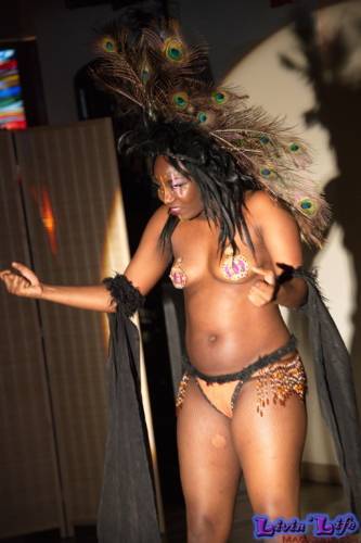 A Night of Burlesque - Heroes and Villains at ZenfiniTea