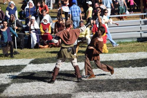 Sarasota Medieval Fair 2017