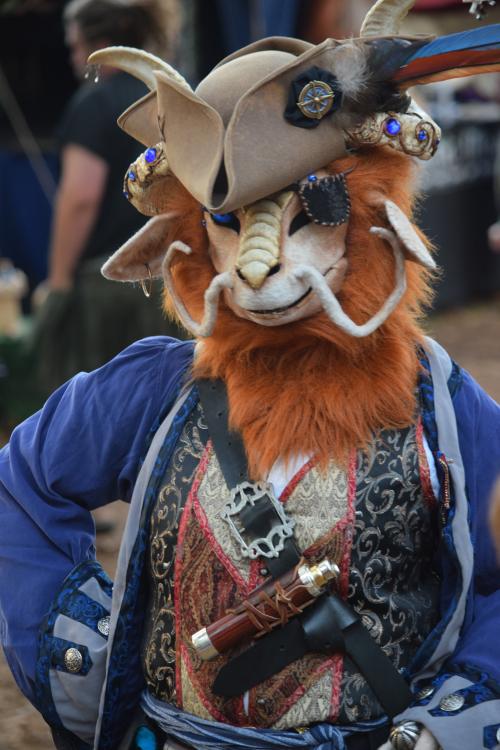 Sarasota Medieval Fair 2017. Lively Ram costumes of Lords. Medieval times.